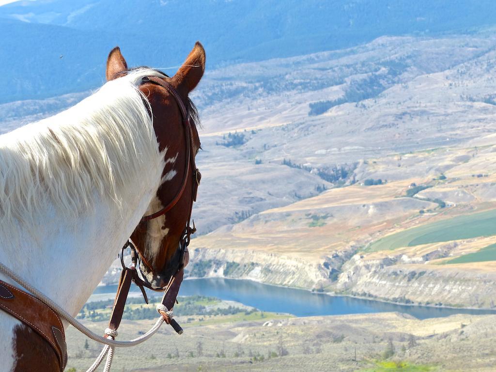 Sundance Guest Ranch Villa Ashcroft Bagian luar foto