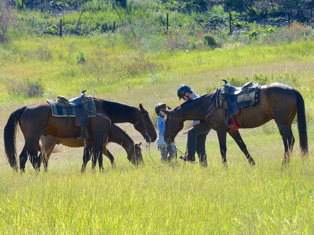 Sundance Guest Ranch Villa Ashcroft Bagian luar foto