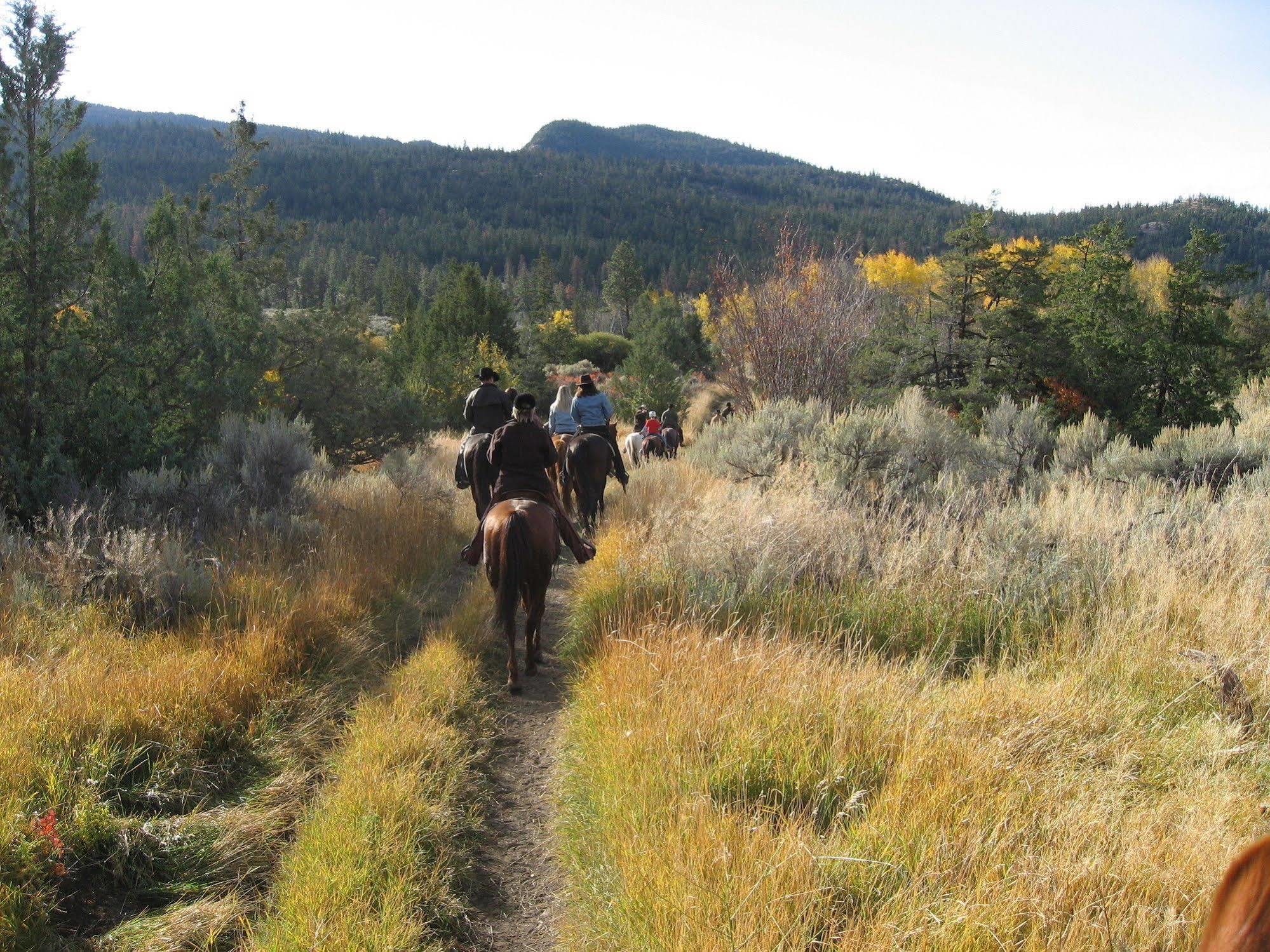 Sundance Guest Ranch Villa Ashcroft Bagian luar foto