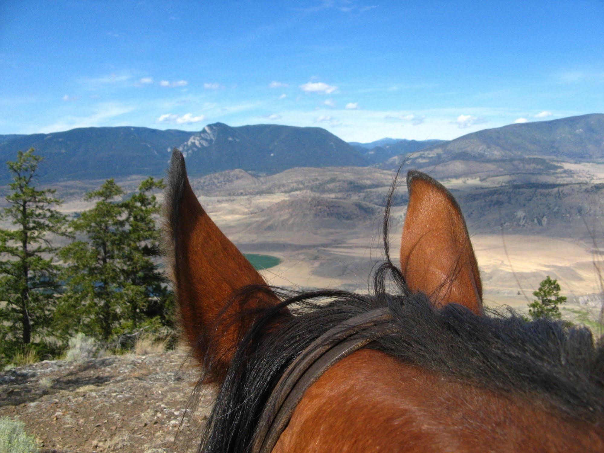 Sundance Guest Ranch Villa Ashcroft Bagian luar foto