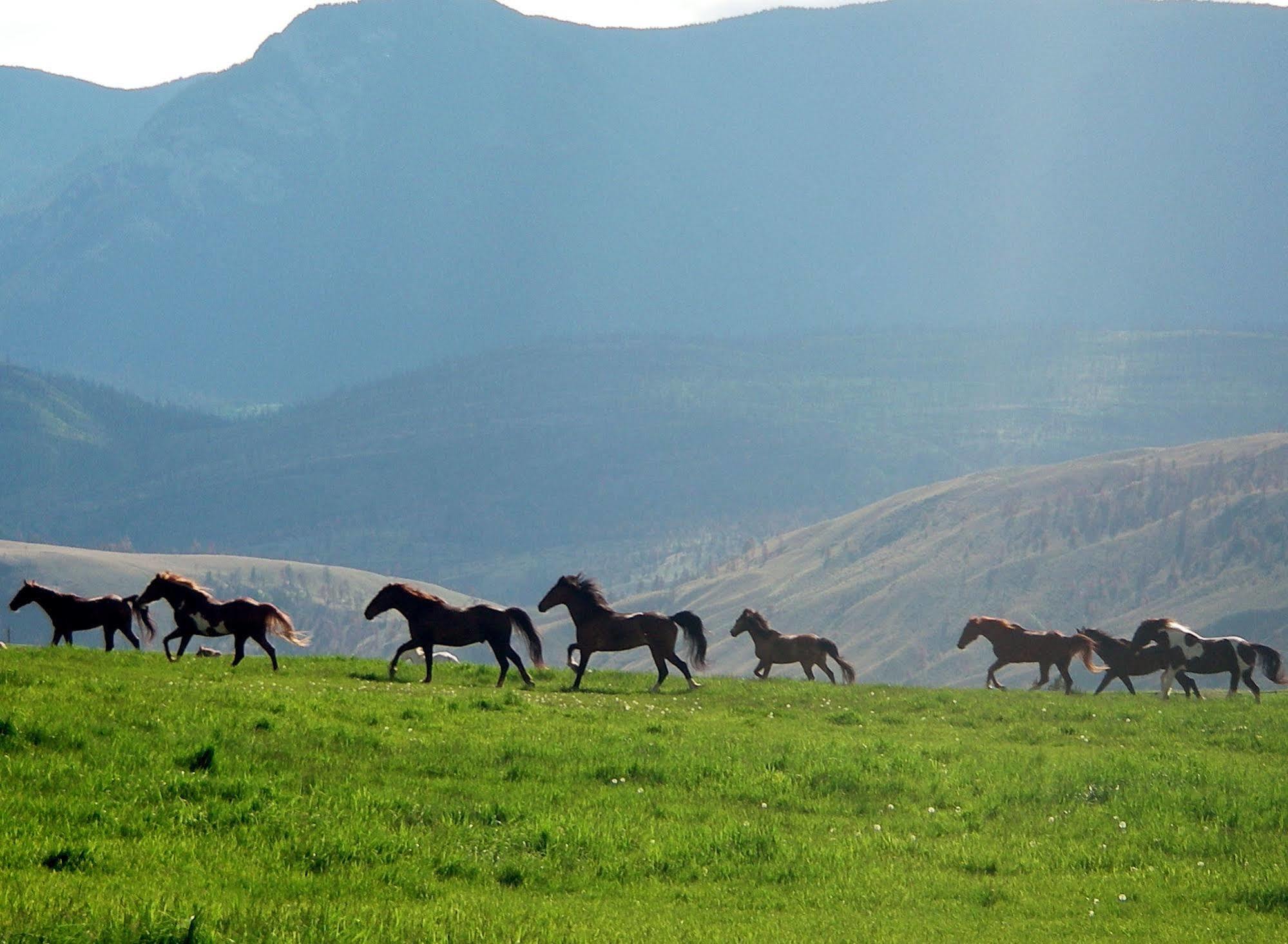 Sundance Guest Ranch Villa Ashcroft Bagian luar foto