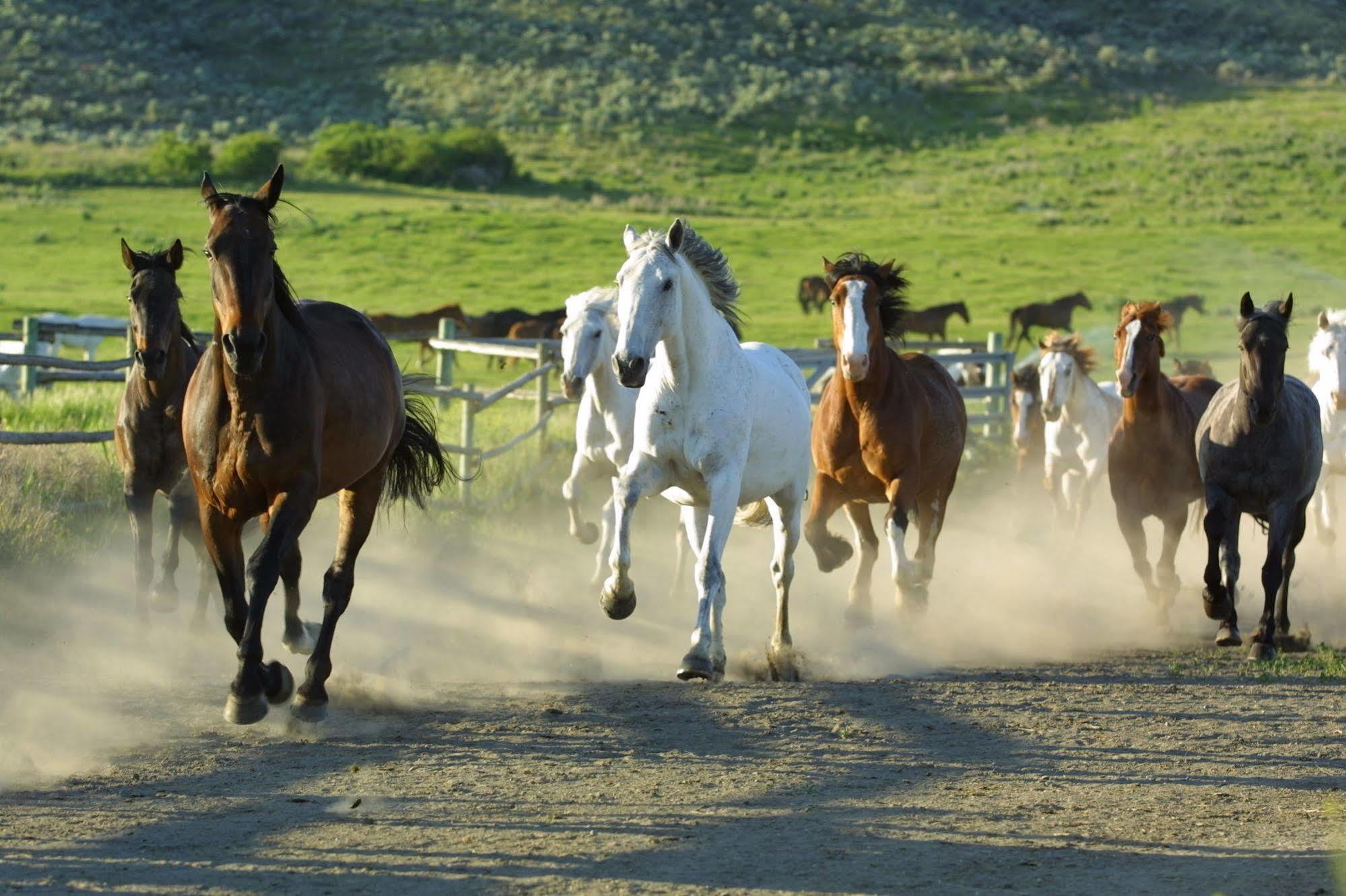 Sundance Guest Ranch Villa Ashcroft Bagian luar foto